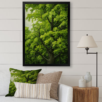 " American Basswoods Tree Bliss I "