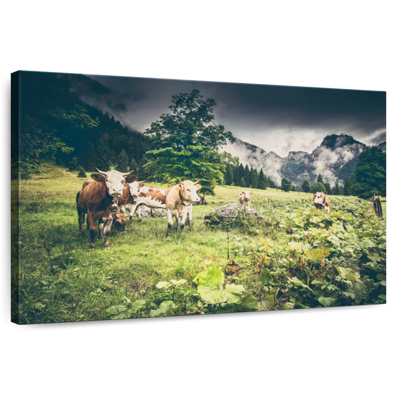 Brampt Cattle Of Tyrol, 34'' H x 51'' W