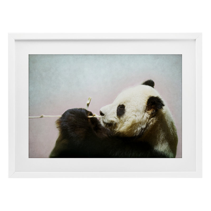 Wild Panda & Bamboo, reproduction encadrée sous verre, conception de Roberta Murray, H 14 po x l 20 po, Cadre blanc côtier