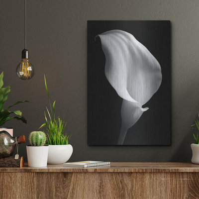 "Lily On Black 02" par Tom Quartermaine