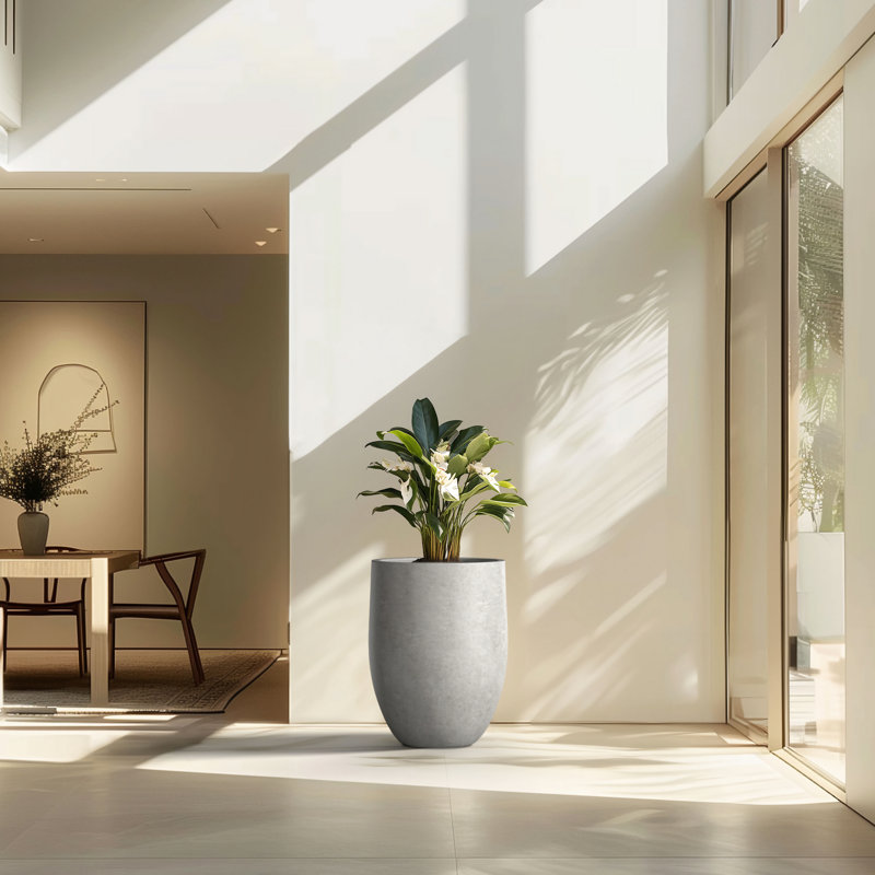 Pot à fleurs en ciment Irmelie, Gris naturel, H 21,65 po x l 16,93 po x P 16,93 po