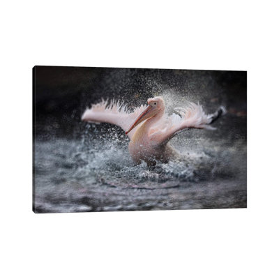 Bathing Fun ..... by Antje Wenner-Braun - Wrapped Canvas Print