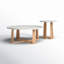 Baudelaire 2 - Piece Marble Top Living Room Table Set