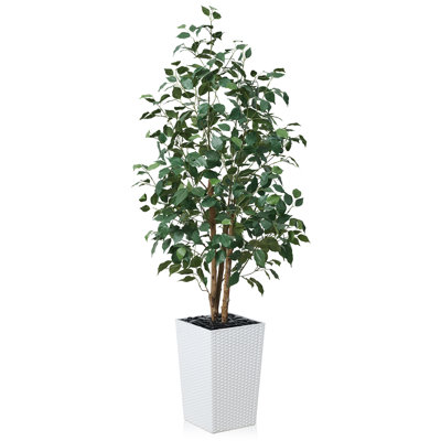 Adcock UV Protected Artificial Ficus Tree with Decorative Base, Faux Ficus Plant with Natural Trunk