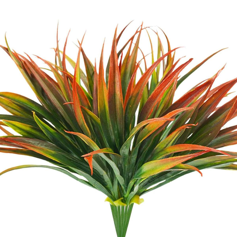 16,9 plante, Orange