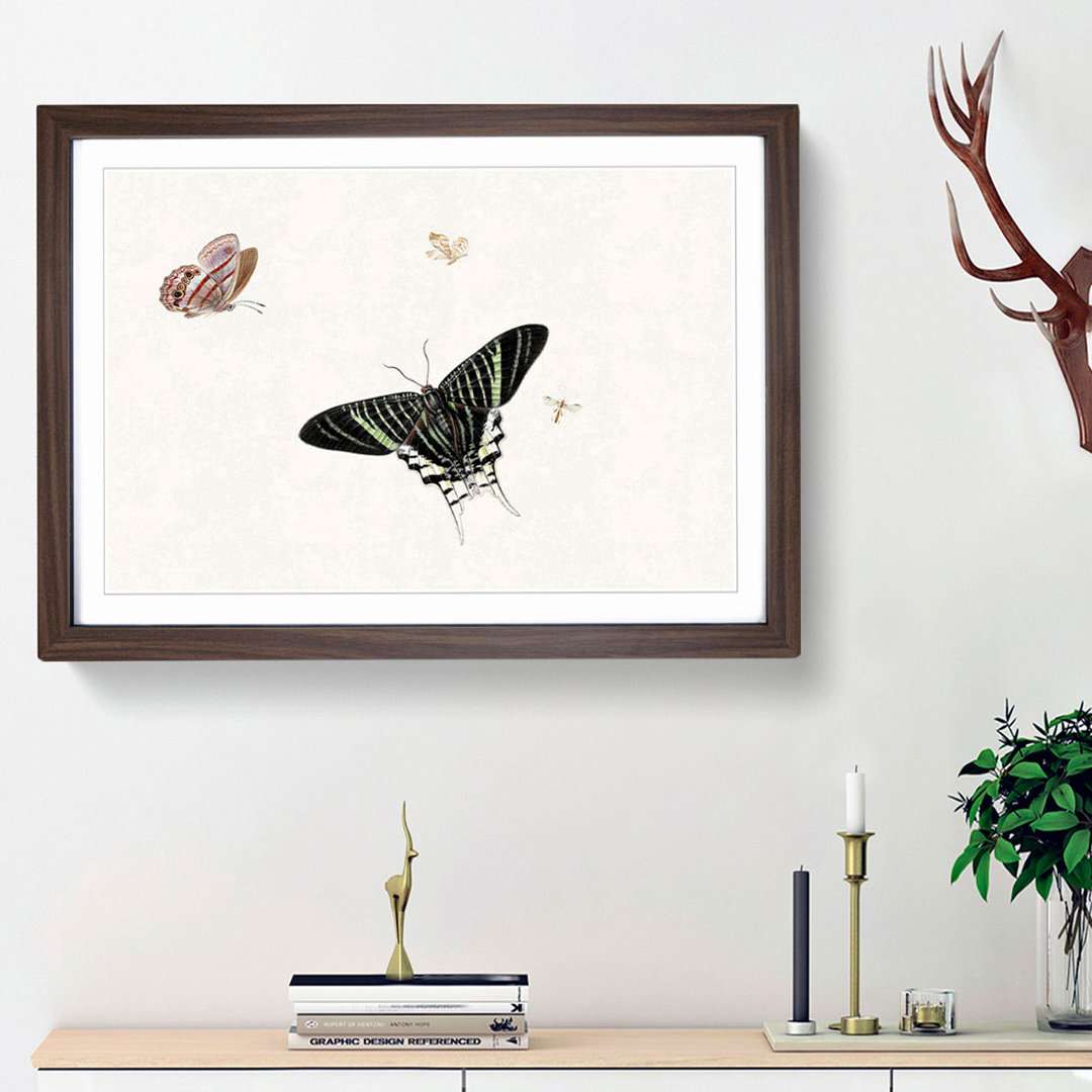 A Wasp and Three Butterflies by Herman Henstenburgh - Framed Print