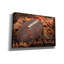 «Football A Family Tradition on Canvas» par Lori Deiter-1587488673