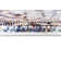 Tapis bleu / brun clair Lawnmont