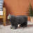 Bear Bench, Concrete Outdoor Bench
