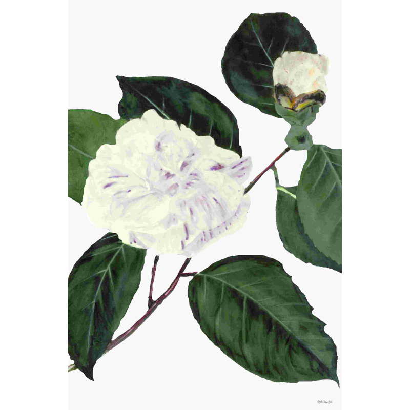 Blanc botanique I, H 36 po x l 24 po, Oui, Cadre simple blanc