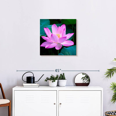 Fleur de lotus Harnek