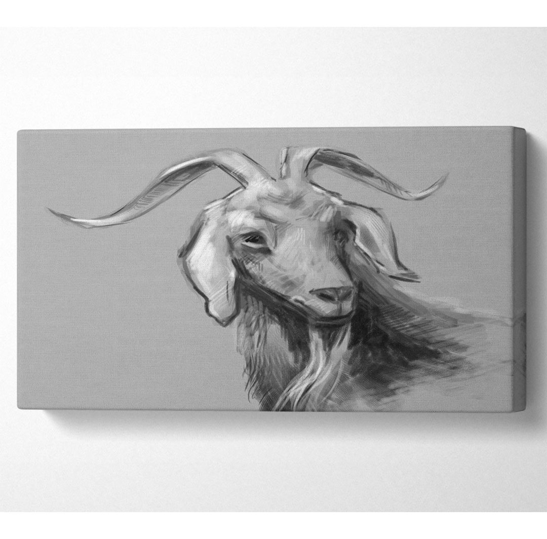 Berns The Sketch Goat - Kunstdrucke auf Leinwand