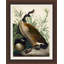 Audubon's Duck Painting