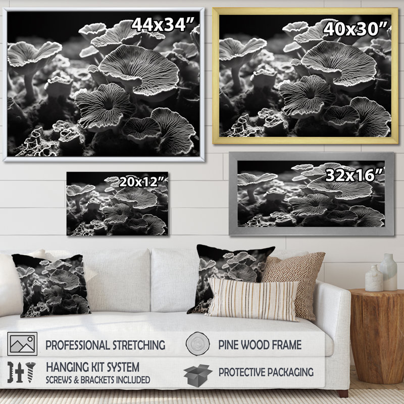 Coral Serenity en noir et blanc II, reproduction d'art sur toile, H 16 po x l 32 po, Cadre flottant doré