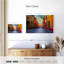 Sirci San Miguel De Allende Street-107527922
