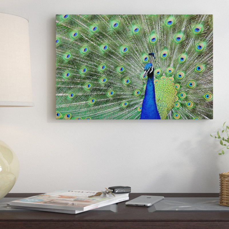 " Peacock Feathers " by Unknown Artist, Wrapped Canvas, 18" H x 26" W x 1.5" D