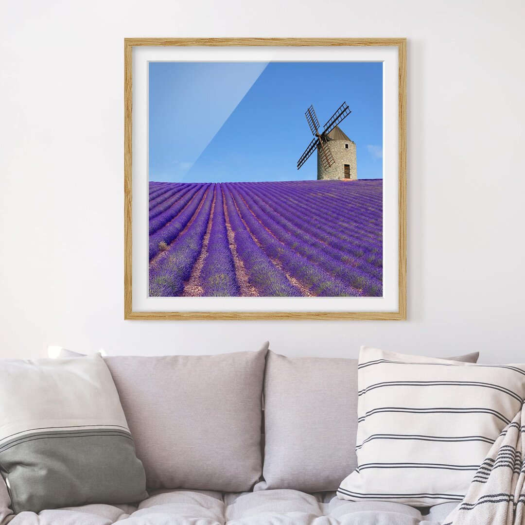 Gerahmter Fotodruck Lavender Scent in Provence