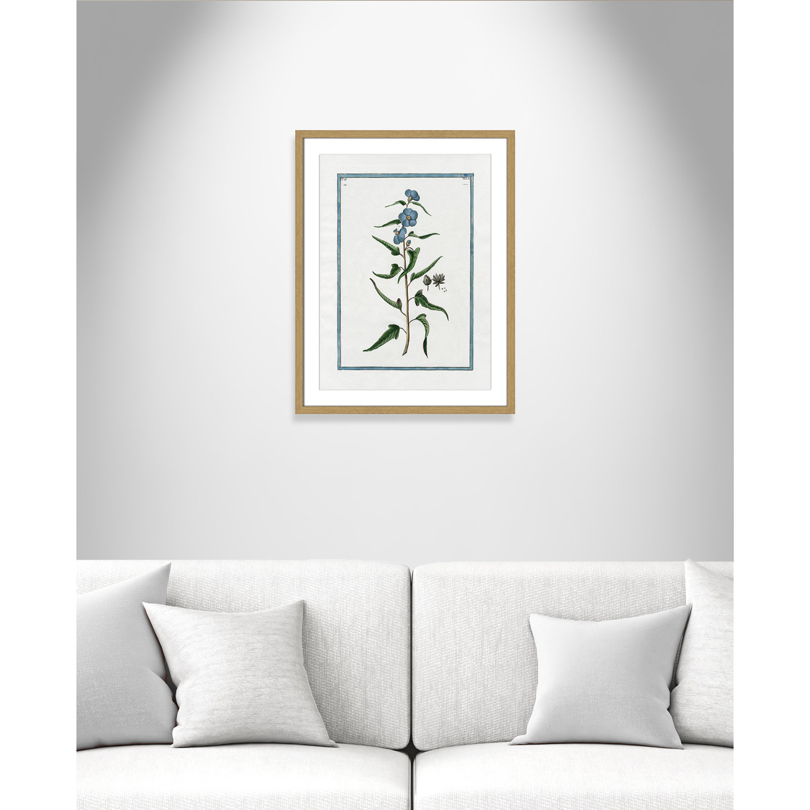 Colombe "Shabby Elegance Botanical I" Print, 17" W x 23" H, Natural Framed
