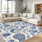 Blue Paisley   area rugs for Living Room, Soft and Comfortable, Suitable for all seasons, easy to maintain, machine washable Indoor floor mat, Under Table Farmhouse suitable for Bedroom, Dining Room, Study,  Balcony, Home Decor Patio-1218591421