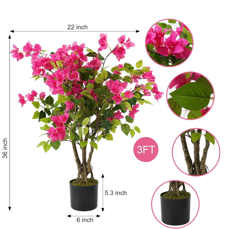 91.44cm Plant