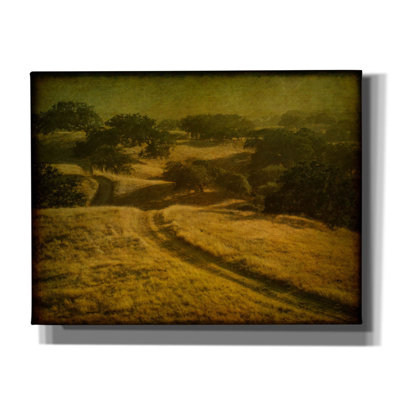 'Ranch Road And Oak Savannah' by William Guion, Canvas Wall Art