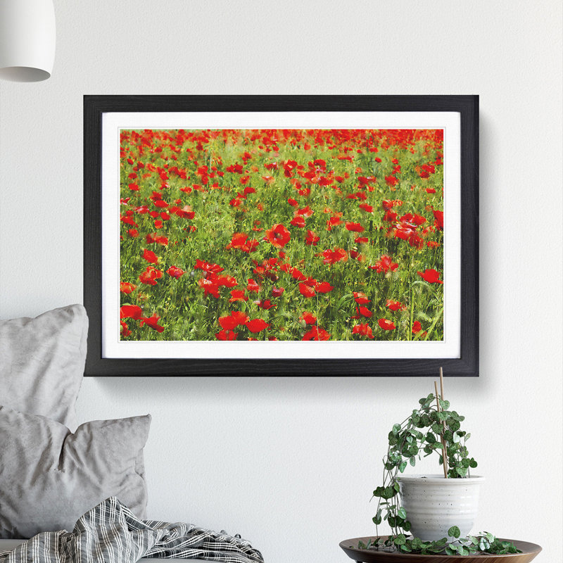 Field of Poppies Vol.2 - Framed Print, Black Framed, 48cm H x 65cm W x 2cm D