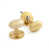Polished Brass