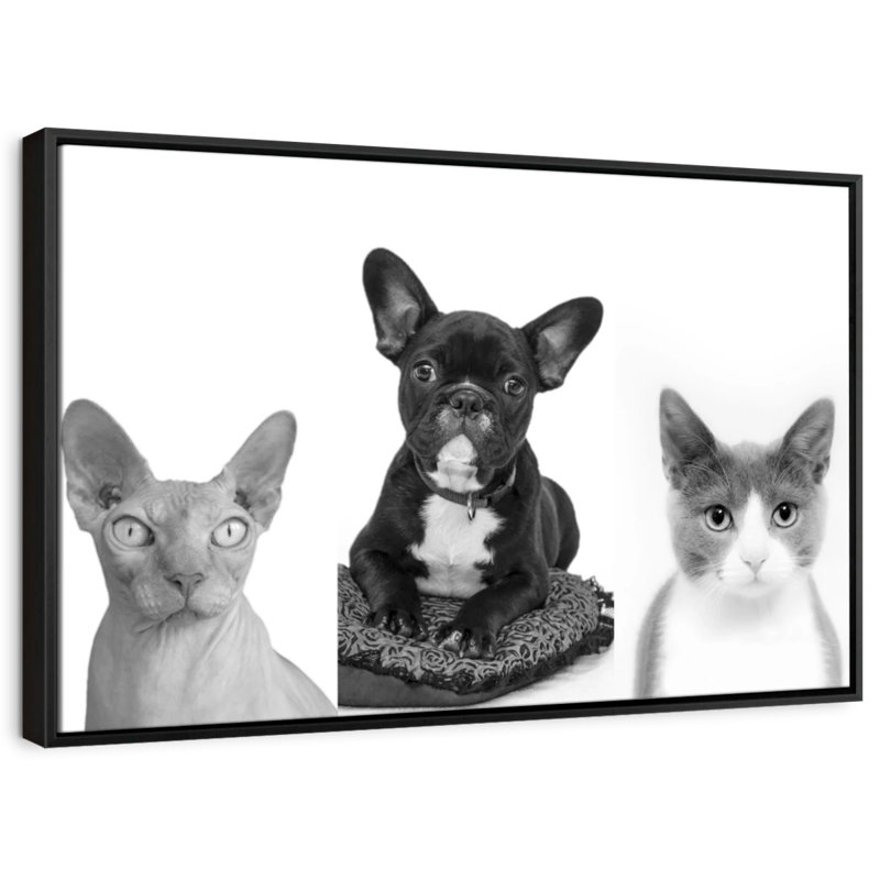 Animal "animaux merveilleux", H 37 po x l 25 po