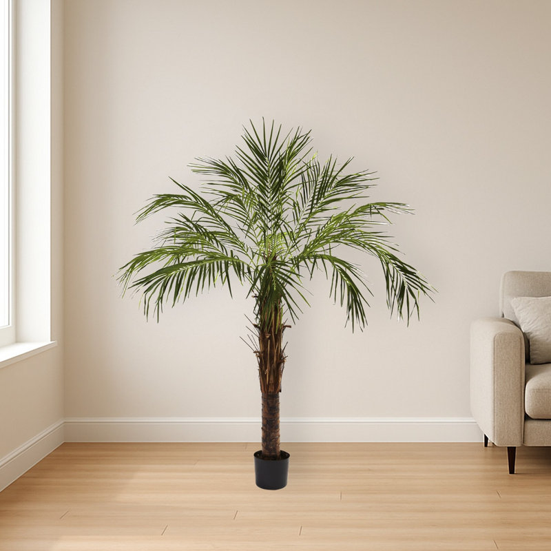Robellini Artificial Palm Tree