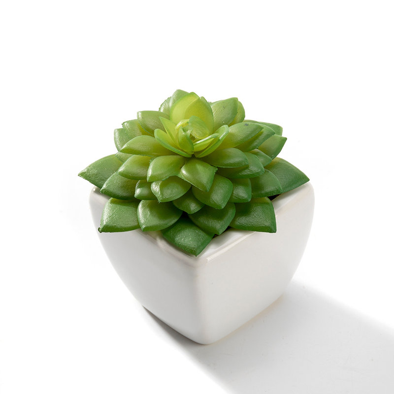 2'' Faux Succulent in Ceramic Pot