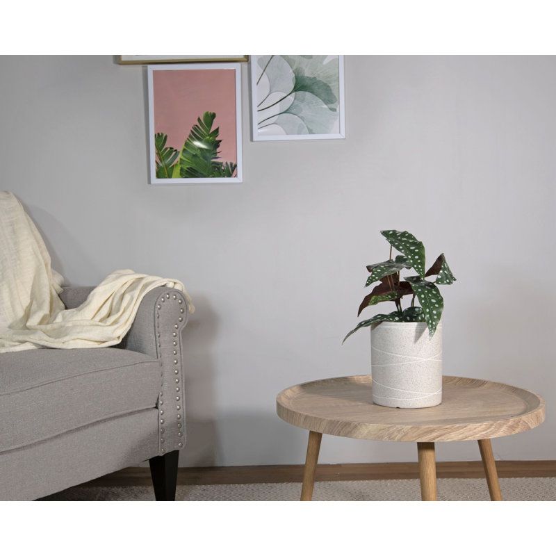 Alphia Ceramic Pot Planter, Ivory