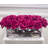 Hydrangea Arrangement in Vase-107098804