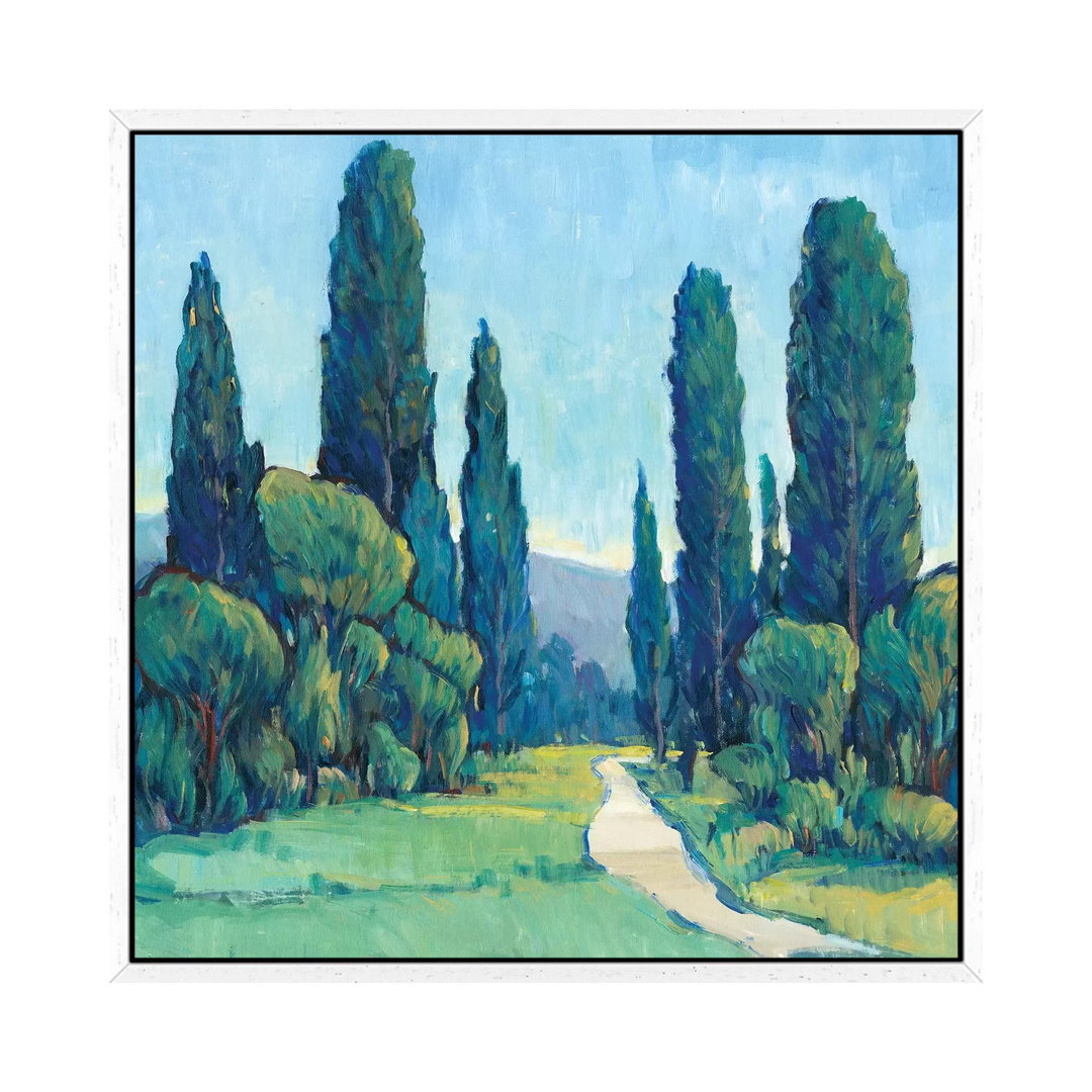 Cypress Path II von Tim OToole - Galerieverpackte Leinwand Giclée auf Leinwand