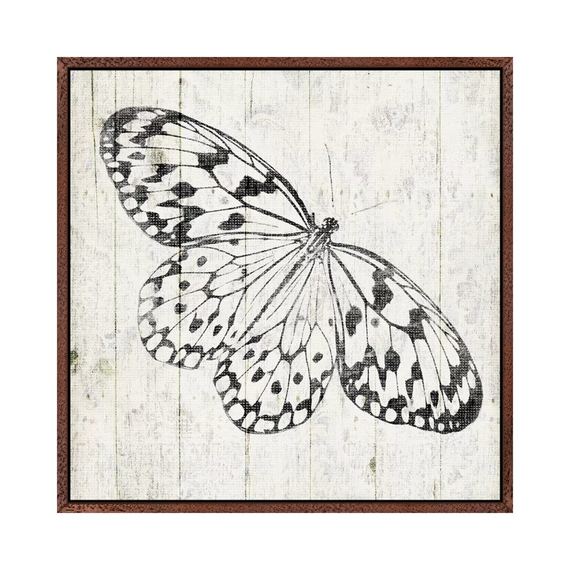 Butterfly by Jace Grey - Print on Canvas, Brown Framed, 45.72cm H x 45.72cm W x 3.81cm D