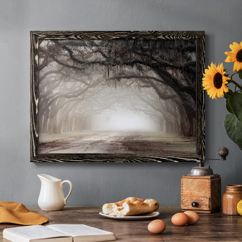 Timeless Plantation Drive, reproduction d'art sur toile, Noir, H 28 po x l 42 po