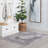 Arshleen Merritt Oriental Gray Area Rug-1922833511
