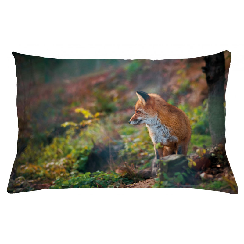 Housse de coussin lombaire intérieur/extérieur fox, 16 po x 26 po
