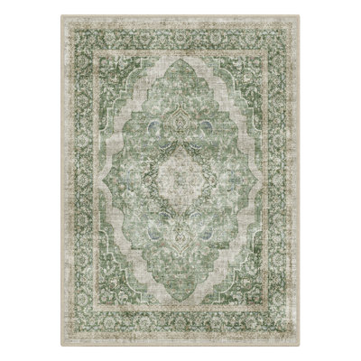 Washable Non-Slip Vintage Distressed Sage Green Traditional Area Rug