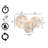 Battery Operated Glass Snowflake Globes - Set Of 3
