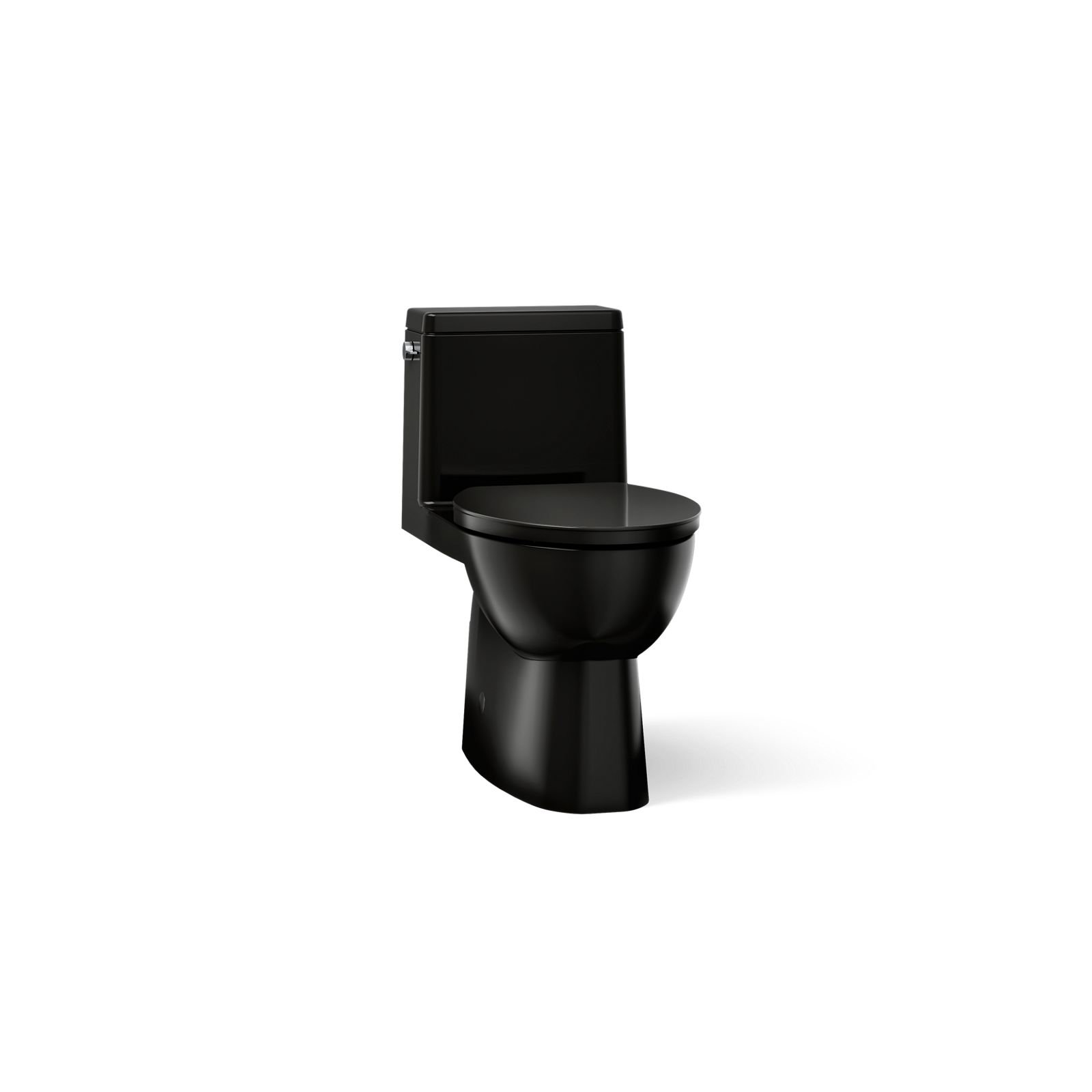 Reach 1.28 GPF Water Efficient Elongated Toilet, Black