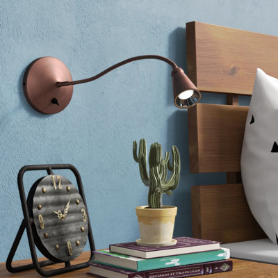 Brunilda Spotlight