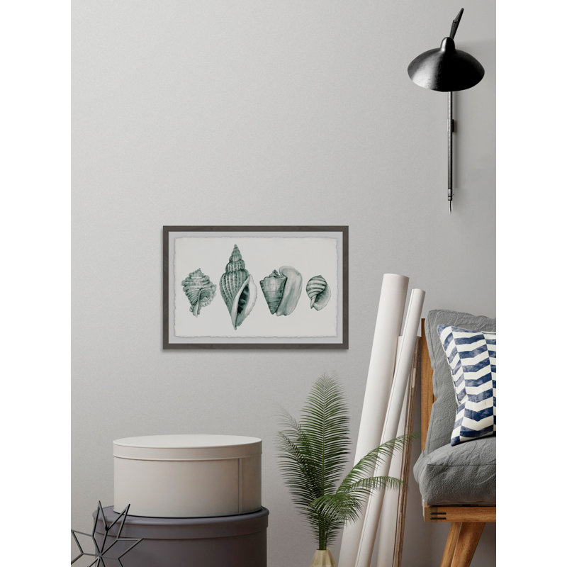 Four Shells - Single Picture Frame Print, 30 cm H x 46 cm W x 4 cm D