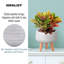 Plaited Style Bowl Planter with Feet-916595665-916595666