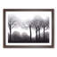 Progressive Forest - Single Picture Frame Print-223951732-223951734