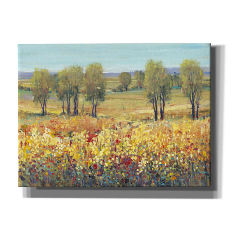 «Golden Fields I» par Tim O'toole, art mural sur toile, H 40 po x l 54 po x P 1,5 po