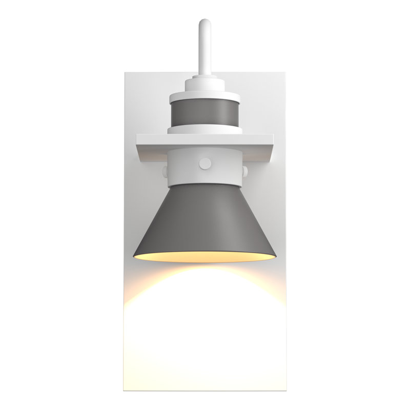 Erlenmeyer 1 - Bulb Outdoor Barn Light, Coastal White, Natural Iron