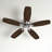 Jacobi 52'' Ceiling Fan with LED Lights-1788204788