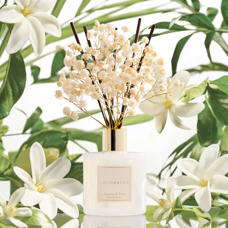 Diffuseur en jasmin et roseau menthe, Jasmine et menthe