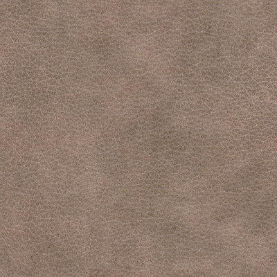 Fletcher Genuine Leather Down Cushion Armchair
