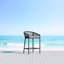 Amelia Patio Bar Stool with Cushion-552902679-553561271